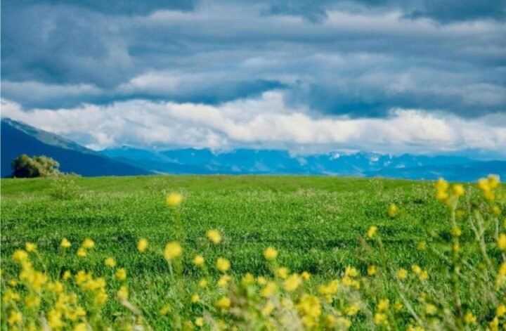 Spring